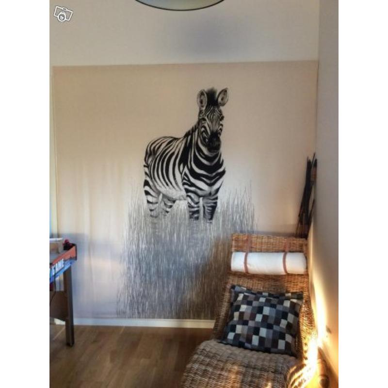 Zebra stor tavla/bonad